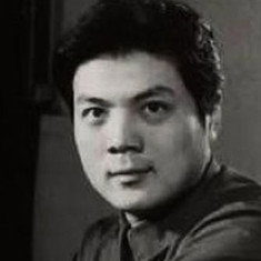 Mei Zhaohua