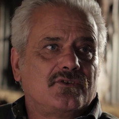 Marco Stefanelli